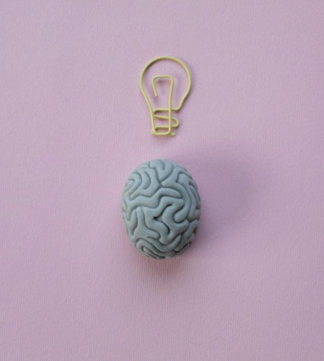 Brain
