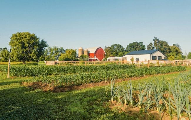 Farm