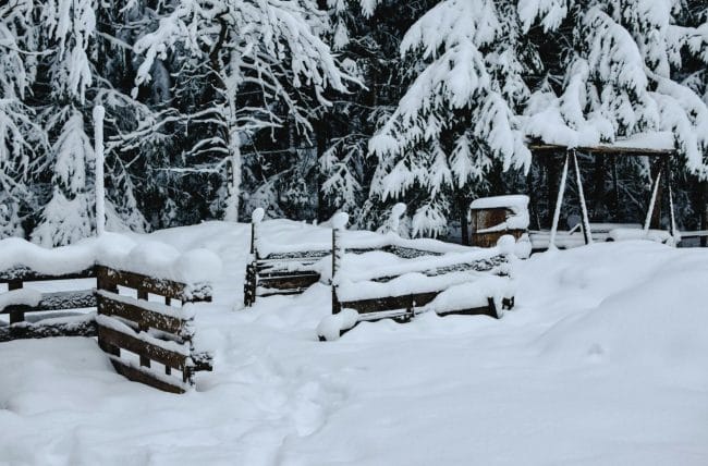 Snow