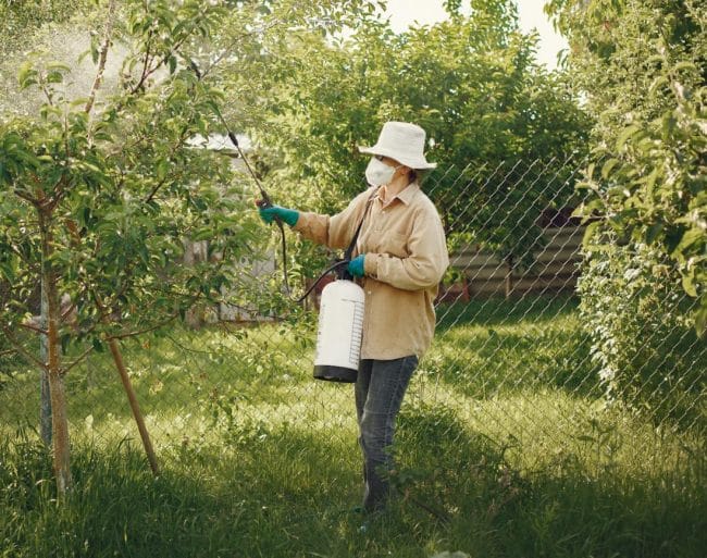 Woman Spraying Pesticides